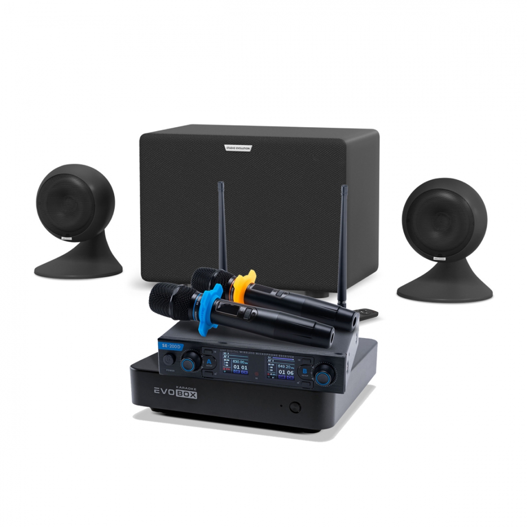 караоке-комплект EVOBOX + EvoSound Sphere 2.1 в Батайске