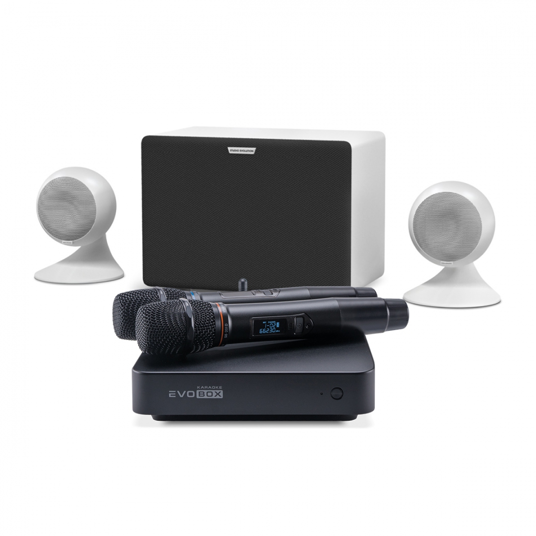 караоке-комплект EVOBOX Classic + EvoSound Sphere 2.1 в Батайске