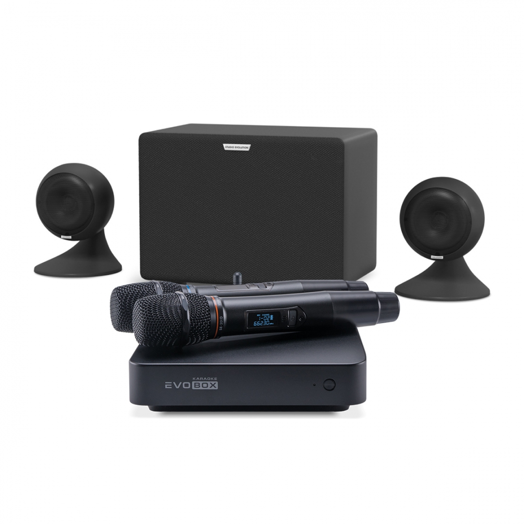 караоке-комплект EVOBOX Plus + EvoSound Sphere 2.1 в Батайске