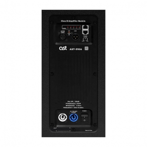 Активная акустическая система AST-310A в Батайске