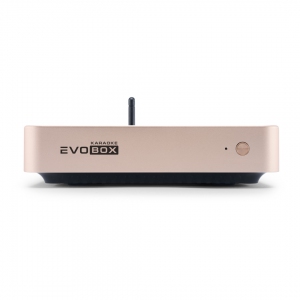 EVOBOX Plus караоке-система для дома в Батайске
