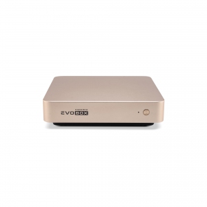 EVOBOX с микрофонами в Батайске